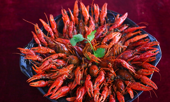 長(zhǎng)沙新東方餐飲培訓(xùn)班