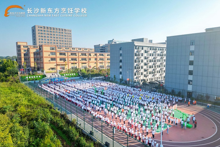 中考擇校指南